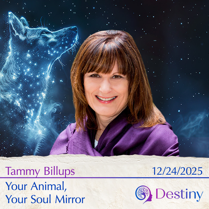 billups_700 Dr. Dylan Petkus: The Sleep Apnea Solution